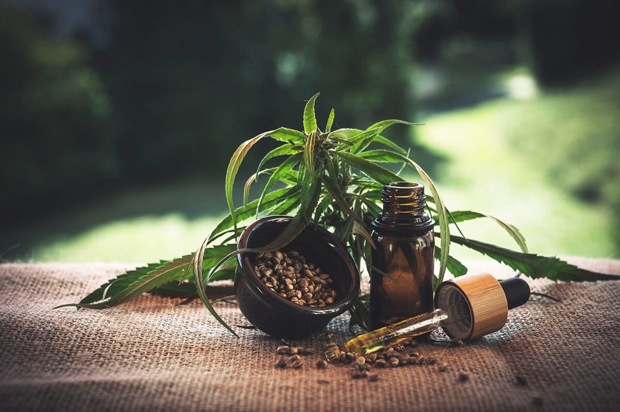 The Power of Active CBD: How it Affects the Body