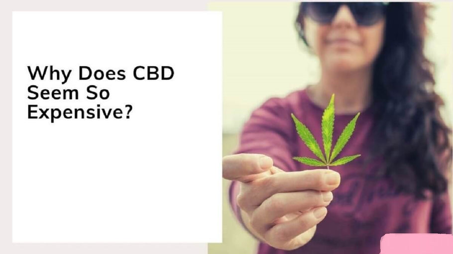 Why is cbd so expensive?